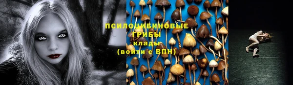 ECSTASY Михайловск