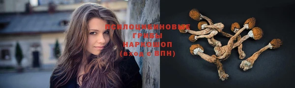 СК Балахна